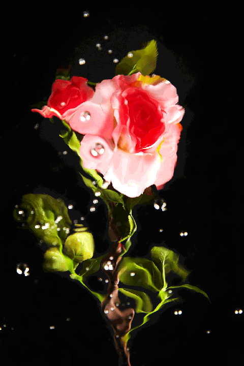 c8a2e7945ac409663a6c8c613b3d2079_1571898360_6567.gif c8a2e7945ac409663a6c8c613b3d2079_1571898360_6567.gif